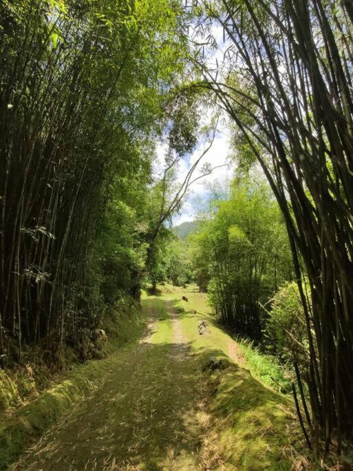 Linda Casa Em Visconde De Maua Perto Da Cachoeira Villa ภายนอก รูปภาพ